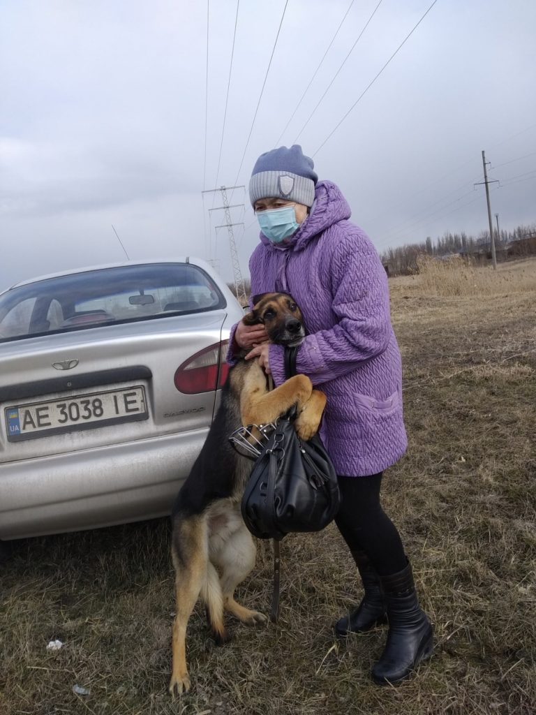 В Павлограде ежедневно спасают бродячих животных | Незалежний портал  Павлоград.dp.ua